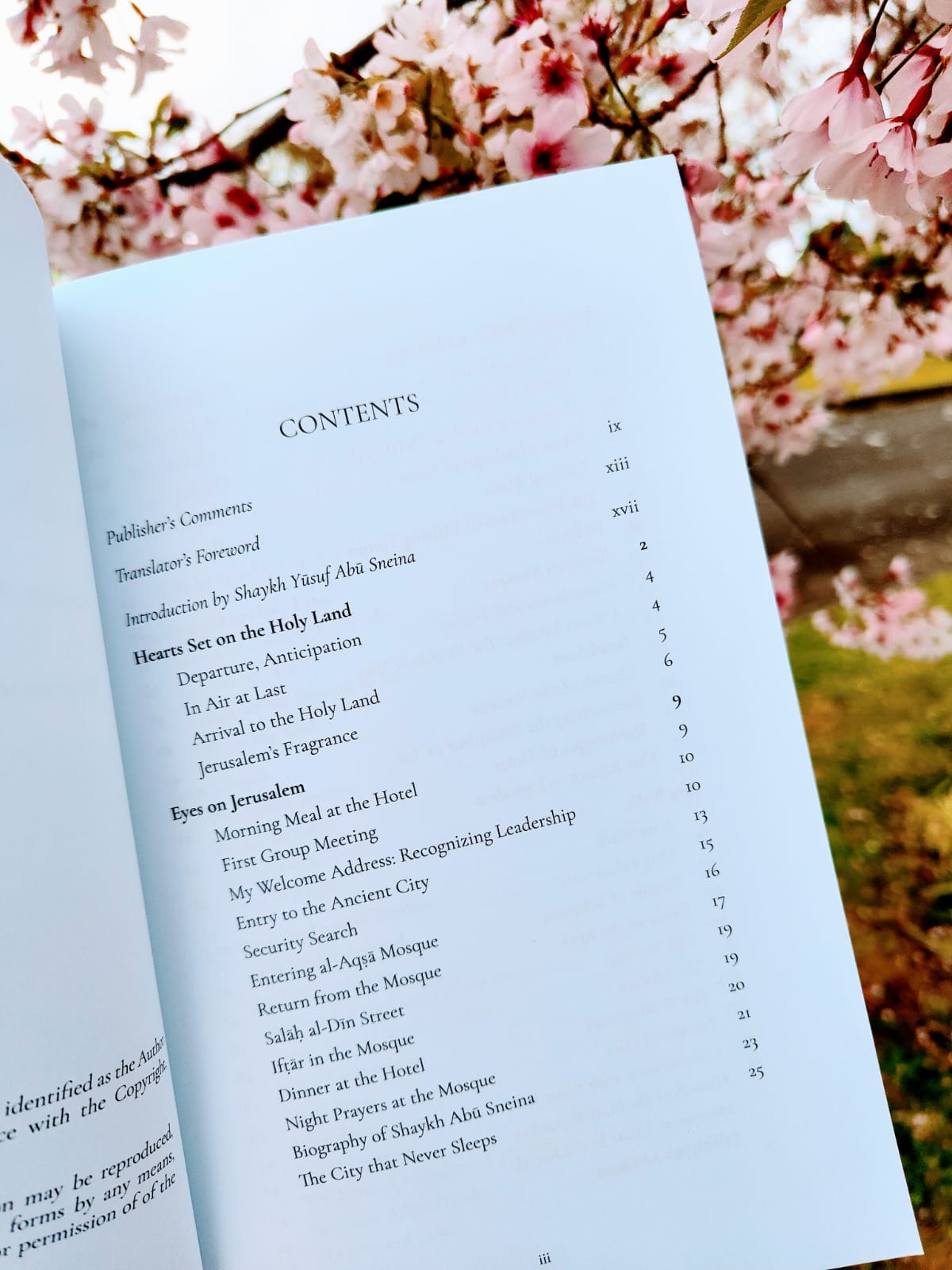 Remembering Beautiful Days in Jerusalem