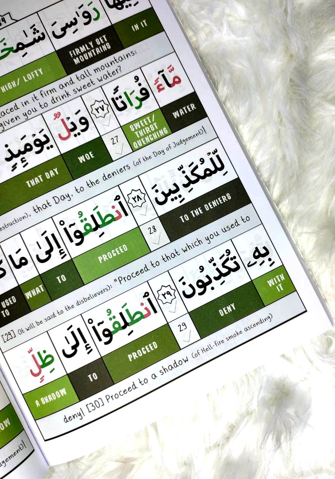 Juz 29 Journal (with Colour Coded Tajweed, Word for Word Meaning, Mini-Tafsir, Hifdh Tracker, Arabic Practice and Quran Journaling)