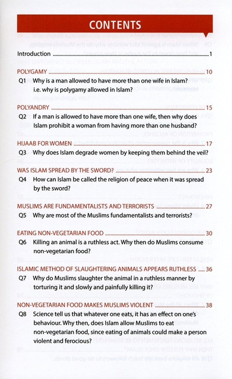 The Most Common Questions Asked by Non-Muslims
