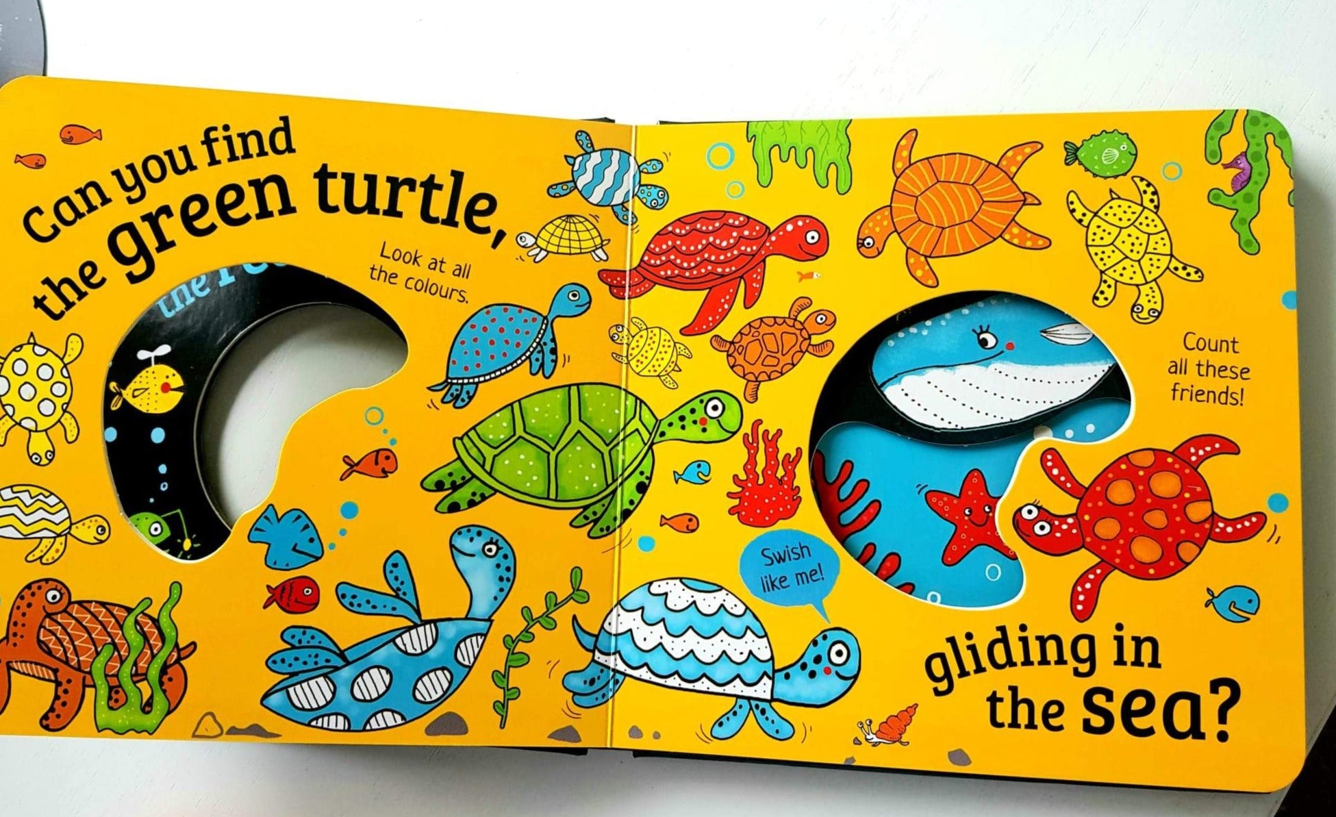 Hide and Peek: Creepy Crawlies, A colourful interactive board book