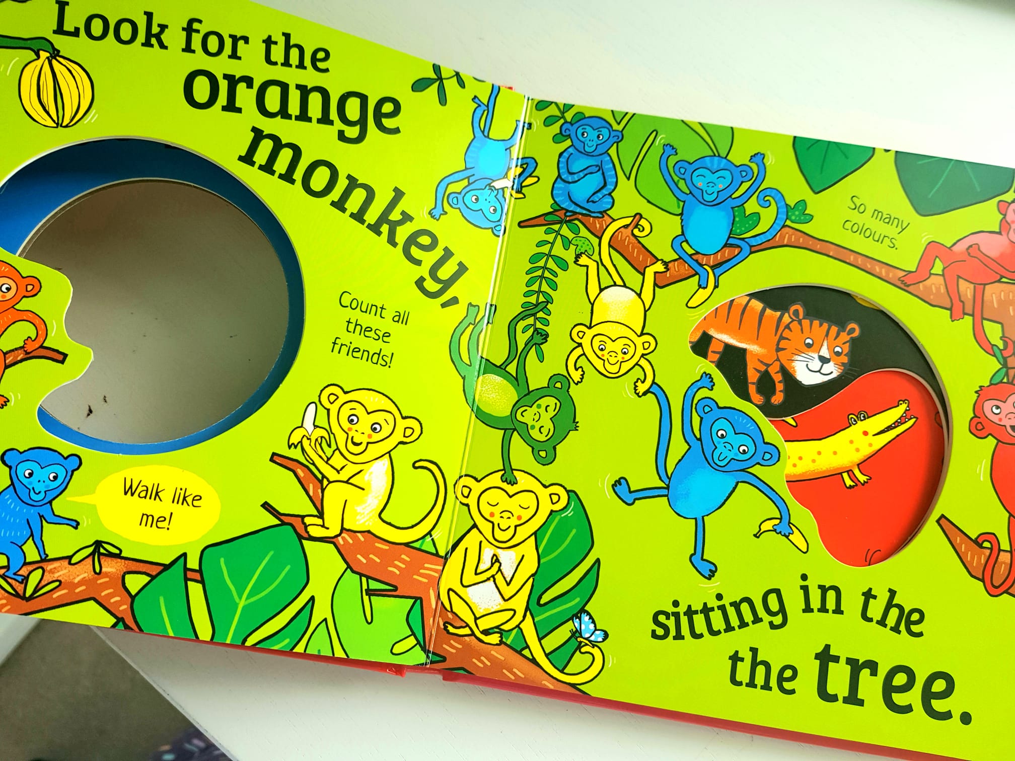 Hide and Peek: Deep in the Jungle, A colourful 'I Spy' Board book