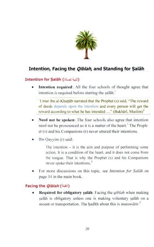 Performing Salah Using the Prophetic Example - Summary Edition
