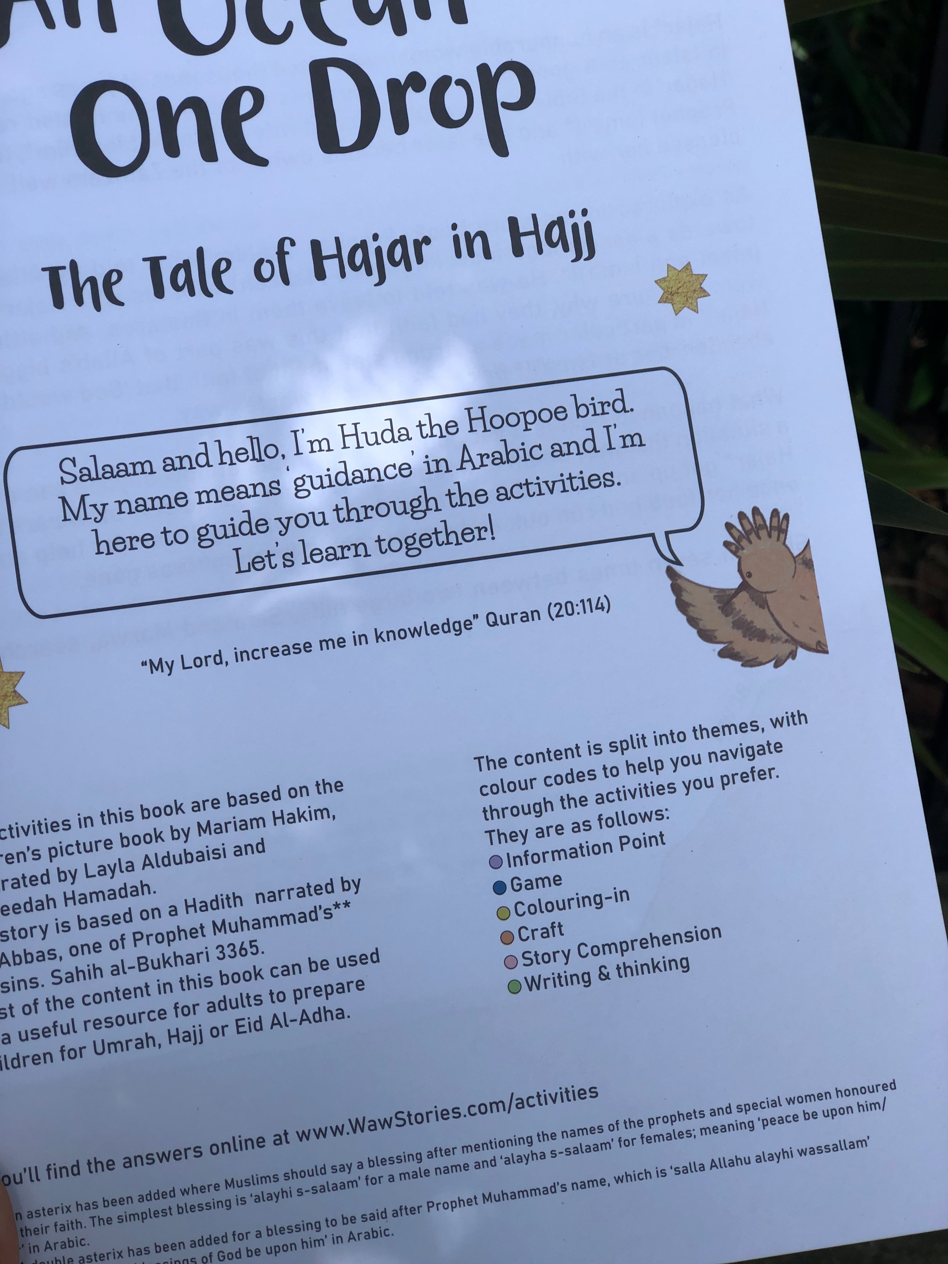 An Ocean in One Drop (Activity Book to learn About Hajj, the 5th Pillar of Islam)