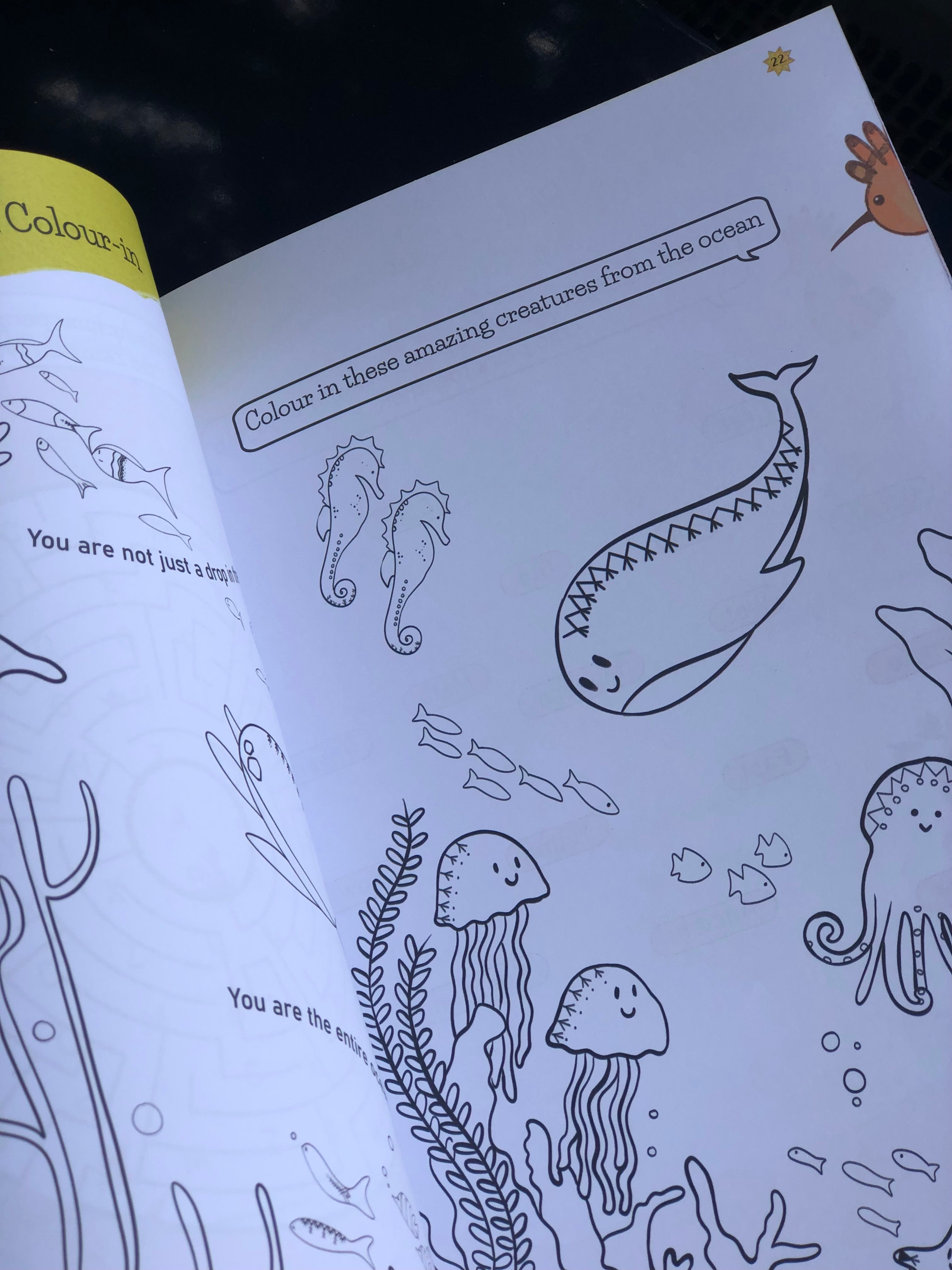 An Ocean in One Drop (Activity Book to learn About Hajj, the 5th Pillar of Islam)
