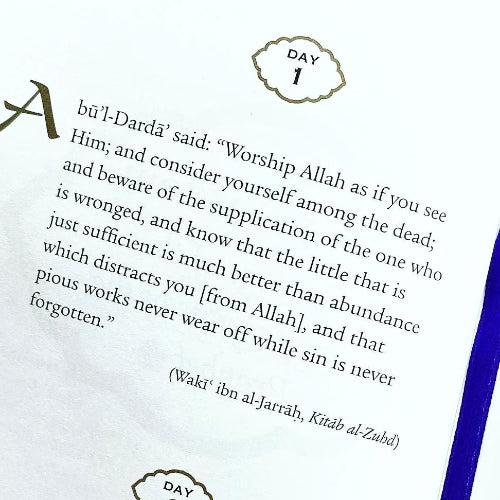 Daily Wisdom: Sayings of the Companions of the Prophet ﷺ
