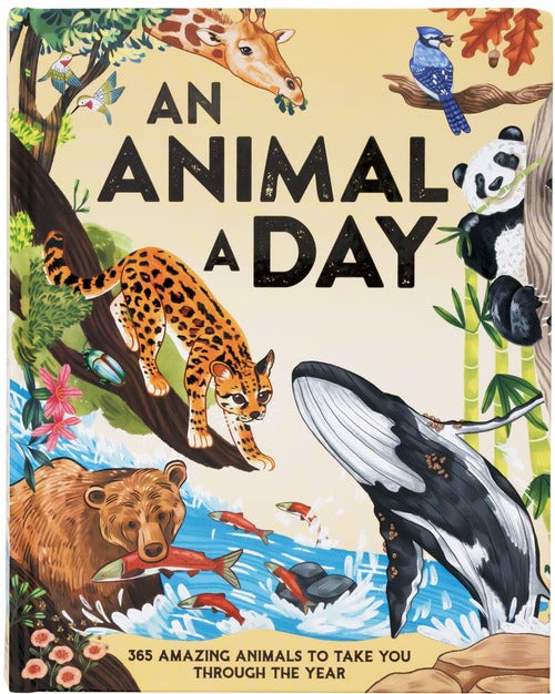 An Animal a Day by Miranda Smith front cover