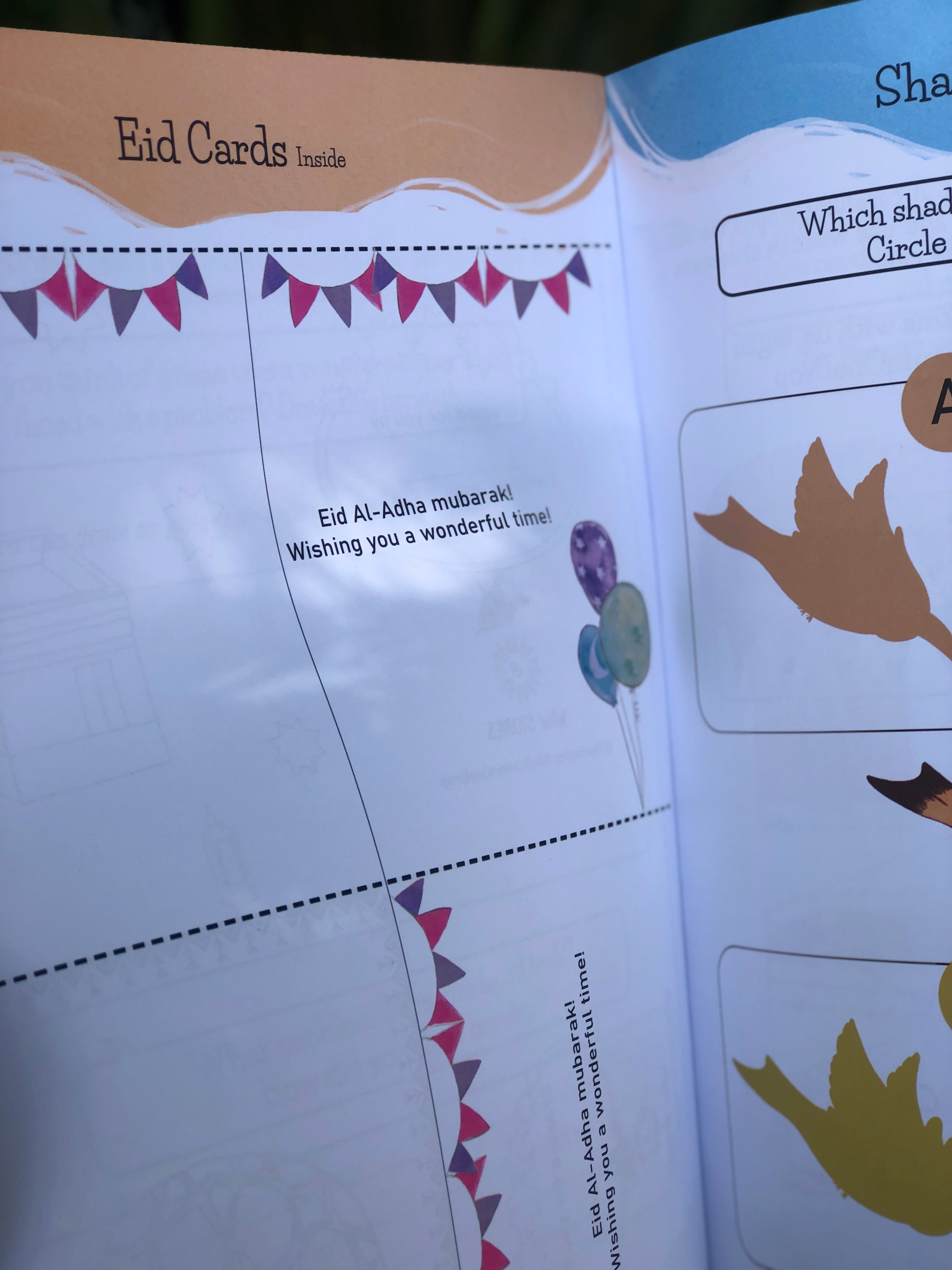 An Ocean in One Drop (Activity Book to learn About Hajj, the 5th Pillar of Islam)