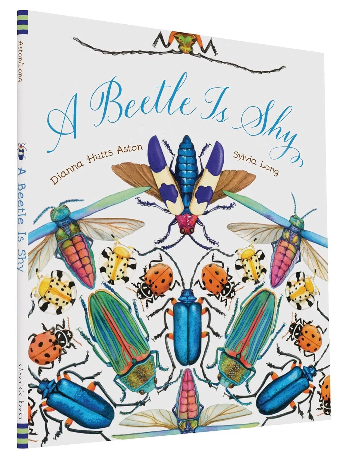 A Beetle is Shy
