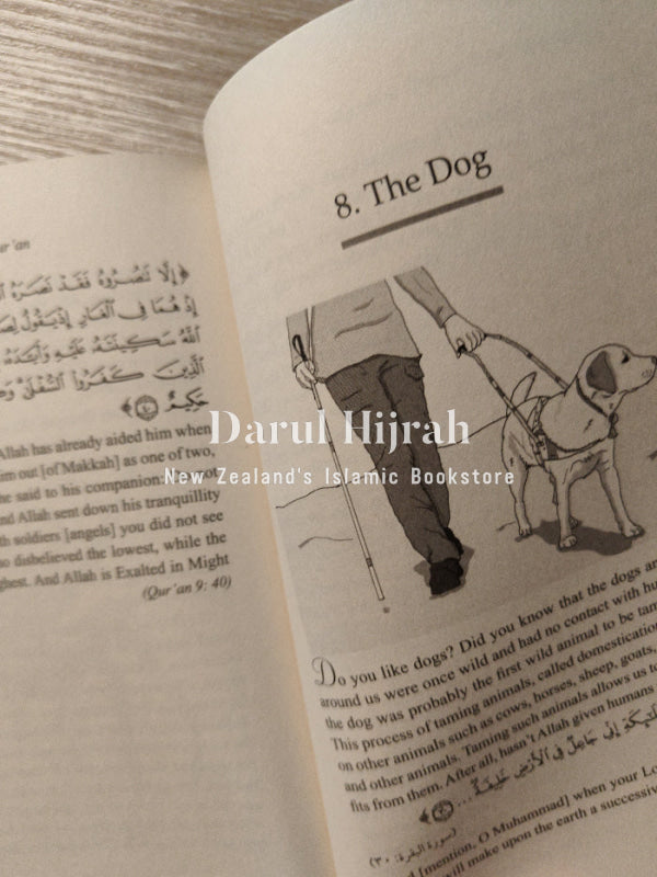 Stories for Children: Birds and Other Animals in the Quran