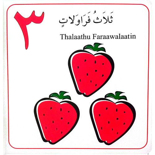 My Arabic Number Book