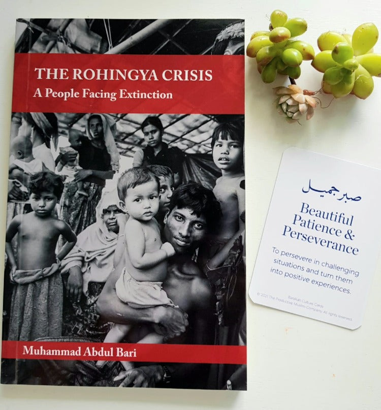 The Rohingya Crisis