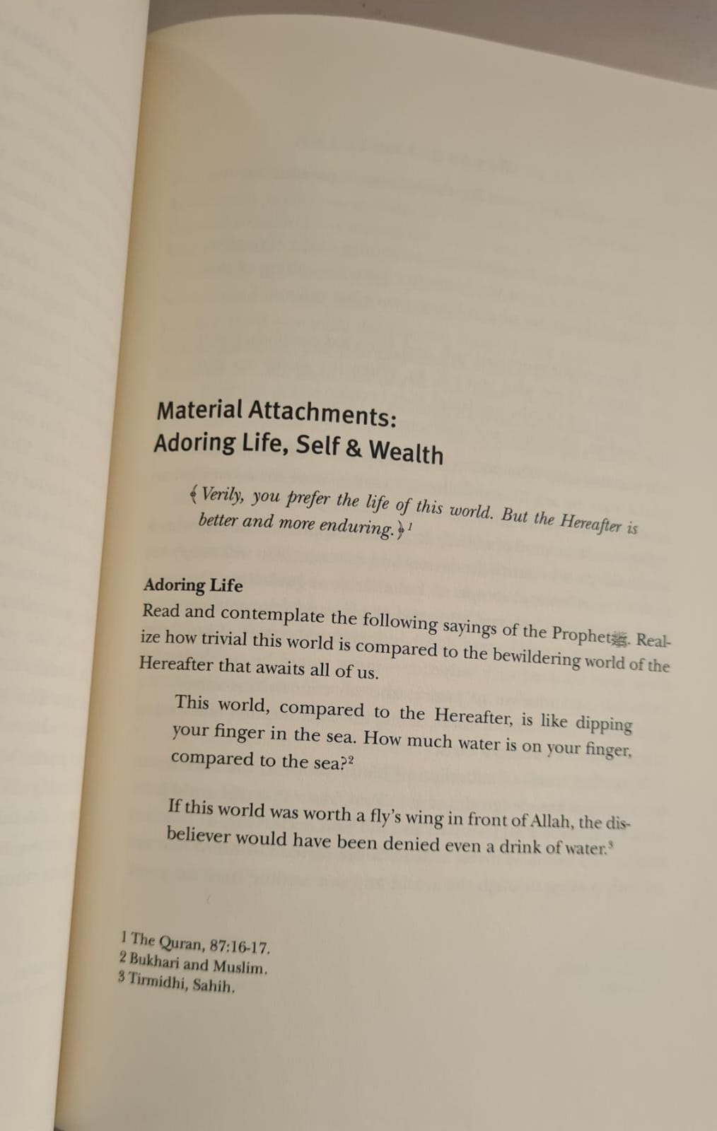 Rising Soul: A Guide to Personal Development