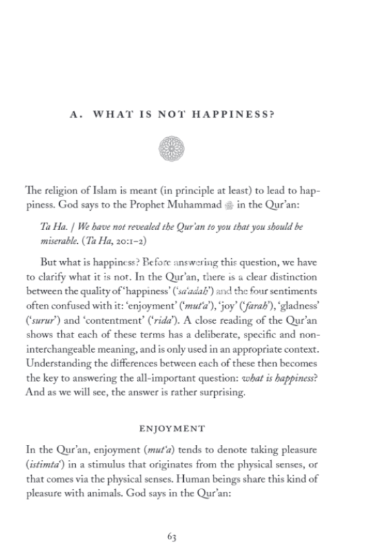A Thinking Persons Guide To The Truly Happy Life Books