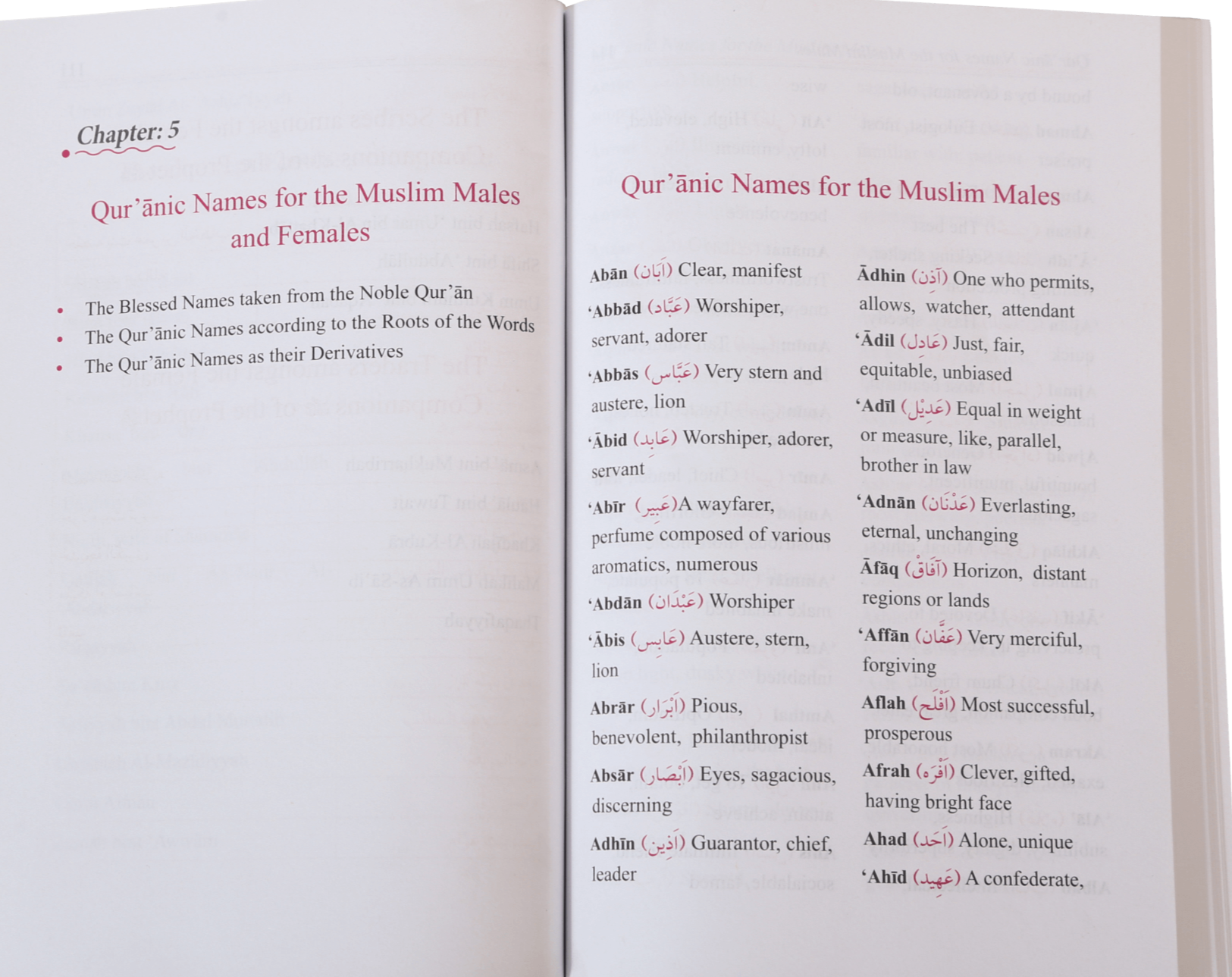 Dictionary of Islamic Names