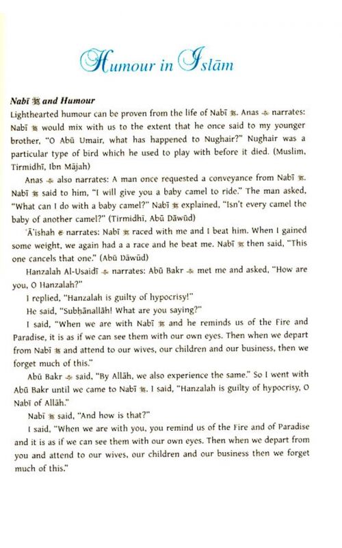 Humorous Anecdotes: From The Lighter Side of Islamic History (Volume 1)