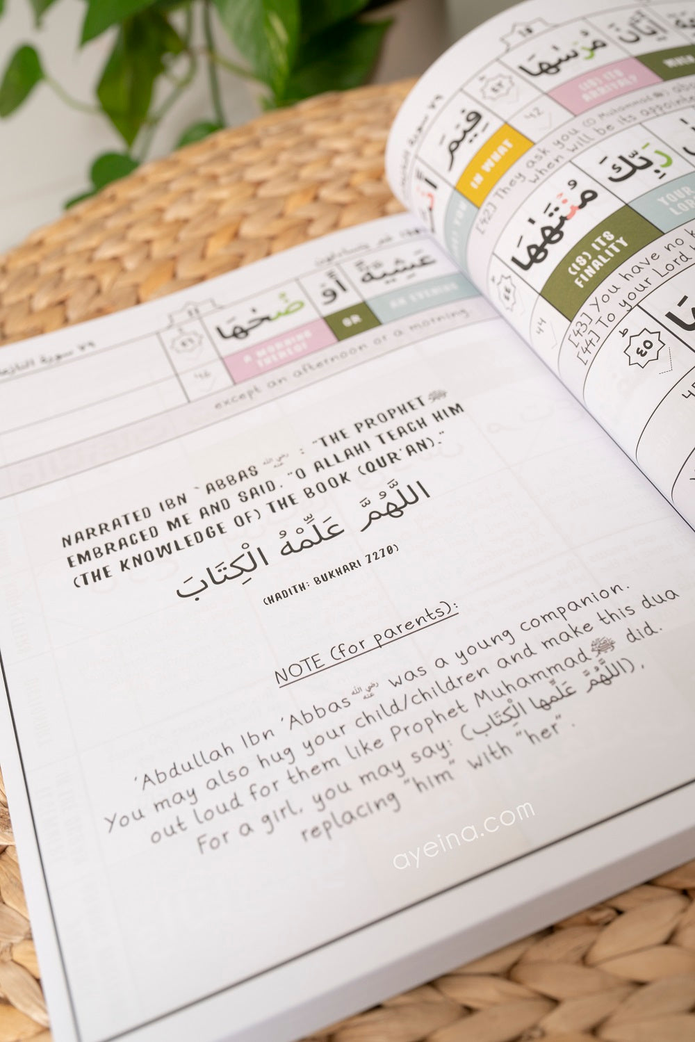Juz Journals (Colour Coded Tajweed, Word for Word Meaning, Mini-Tafsir, Hifdh Tracker, Arabic Practice and Quran Journaling)