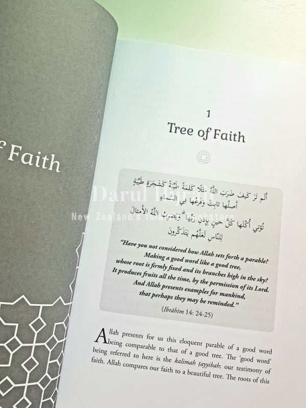 Reflections: Personal Insights From Sheikh Dr Yasir Qadhi Books