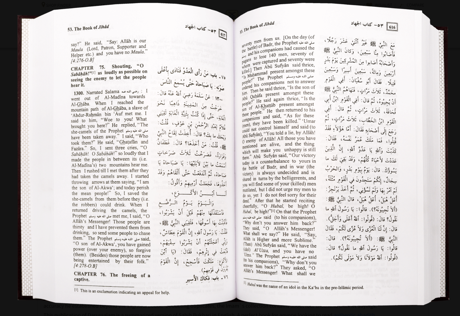 Sahih Al Bukhari - Summarised (English & Arabic/Urdu)