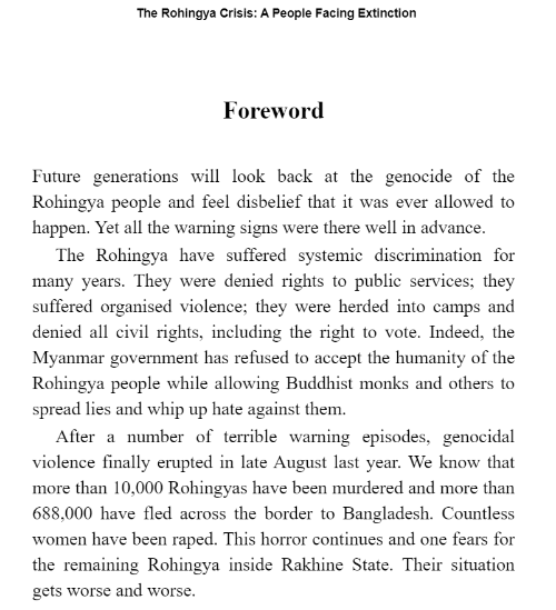 The Rohingya Crisis